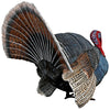 Image of Wild Tom Turkey Statue