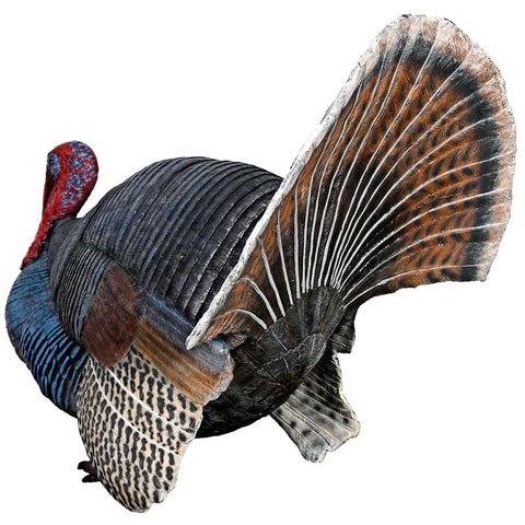 Wild Tom Turkey Statue