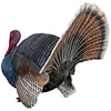 Image of Wild Tom Turkey Statue