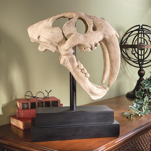 Saber Tooth Tiger Skull On Museum Mount