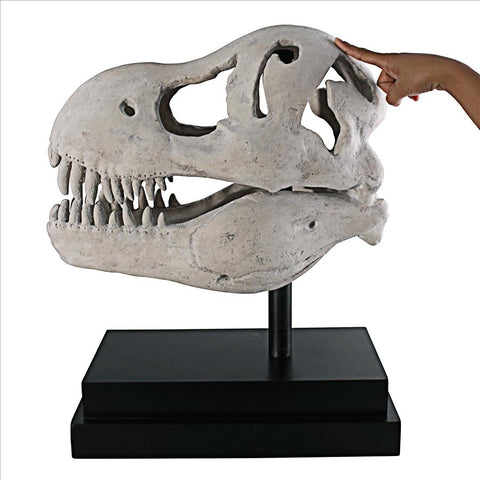 T-Rex Dinosaur Skull On Mount