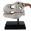 Image of T-Rex Dinosaur Skull On Mount