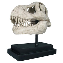 T-Rex Dinosaur Skull On Mount