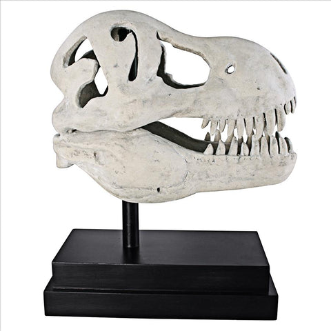 T-Rex Dinosaur Skull On Mount