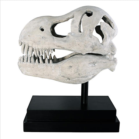 T-Rex Dinosaur Skull On Mount