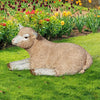 Image of Merino Lamb Resting