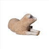 Image of Merino Lamb Resting