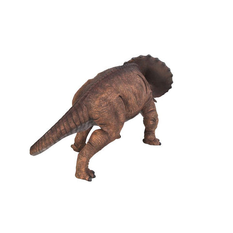 Triceratops Scaled Dinosaur Statue