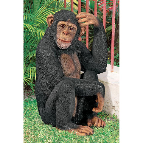 Chauncey The Confused Chimp Statue