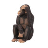 Image of Chauncey The Confused Chimp Statue