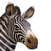 Image of Grand Scale Zebra Foal Statue