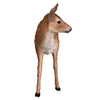 Image of Spotted Deer Fawn Statue