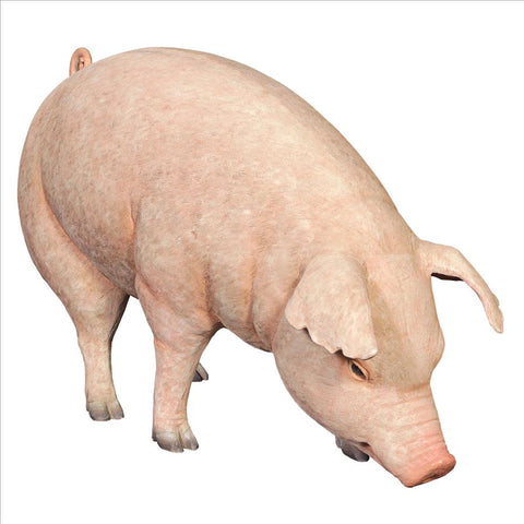 Divine Swine Life Size Farm Pig Statue