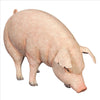 Image of Divine Swine Life Size Farm Pig Statue