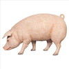 Image of Divine Swine Life Size Farm Pig Statue