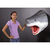 Image of Great White Shark Head Trophy