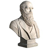 Image of Darwin Bust