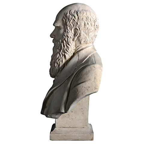 Darwin Bust