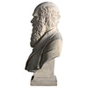 Image of Darwin Bust