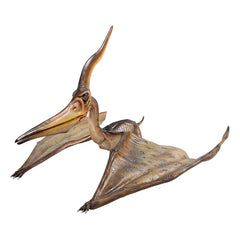 Pteranodon Ingens Statue