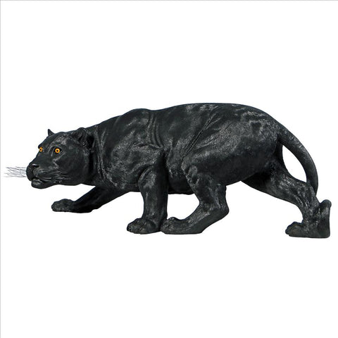 Grande Shadowed Predator Black Panter