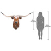 Image of Texas Long Horn Bull Wall Trophy