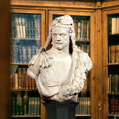 Hercules Bust