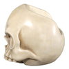 Image of Bone Skull Chair