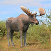 Image of Full Size Moose Statue