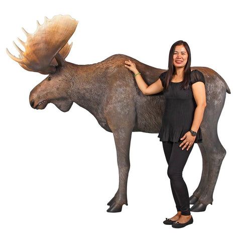 Full Size Moose Statue