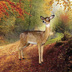 Doe White Tail Deer Statue