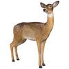 Image of Doe White Tail Deer Statue
