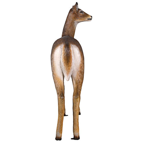 Doe White Tail Deer Statue