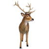 Image of Buck White Tailed Deer Statue