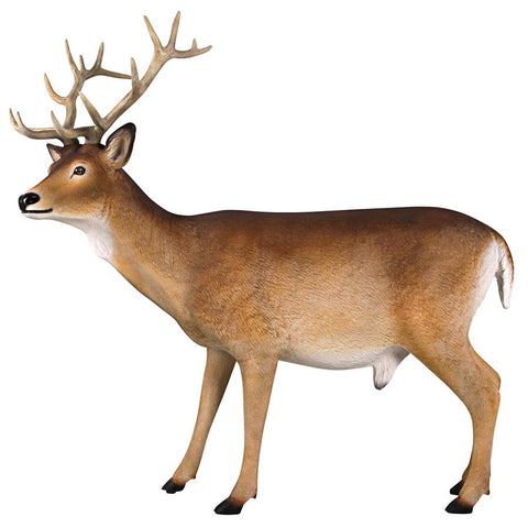 Buck White Tailed Deer Statue