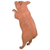 Image of Hop Over Hog Pig Statue