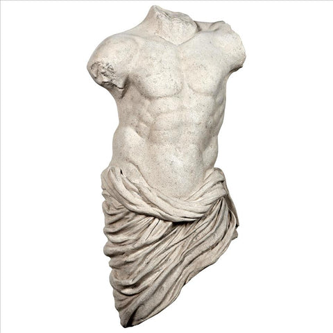 Torso Of A Draped Male Athlete