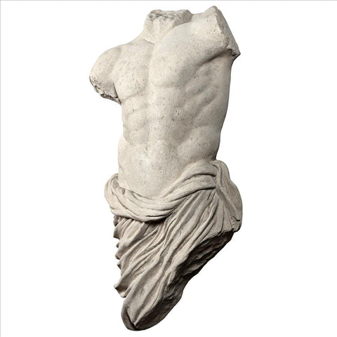 Torso Of A Draped Male Athlete