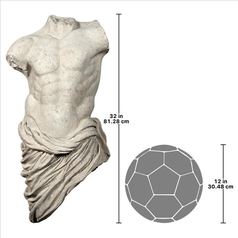 Torso Of A Draped Male Athlete