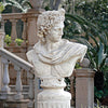 Image of Apollo Belvedere