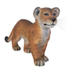 Image of Lion Cub Standing