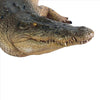 Image of Tropical Wetlands Crocodile Statue