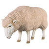 Image of Merino Ewe W/ Head Down