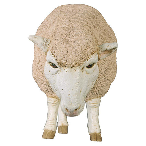 Merino Ewe W/ Head Down