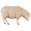 Image of Merino Ewe W/ Head Down