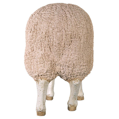 Merino Ewe W/ Head Down