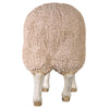 Image of Merino Ewe W/ Head Down