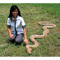 Giant Burmese Python Statue