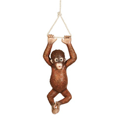 Pongo The Hanging Baby Orangutan