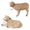 Image of S/2 Merino Lambs